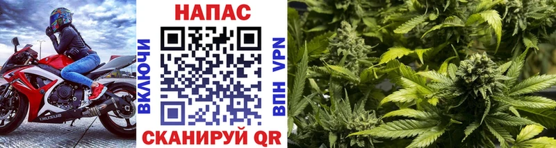 закладка  OMG рабочий сайт  МАРИХУАНА MAZAR  Пущино 